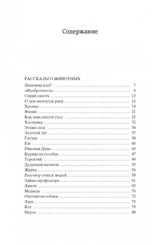 Кладовая солнца фото книги 2