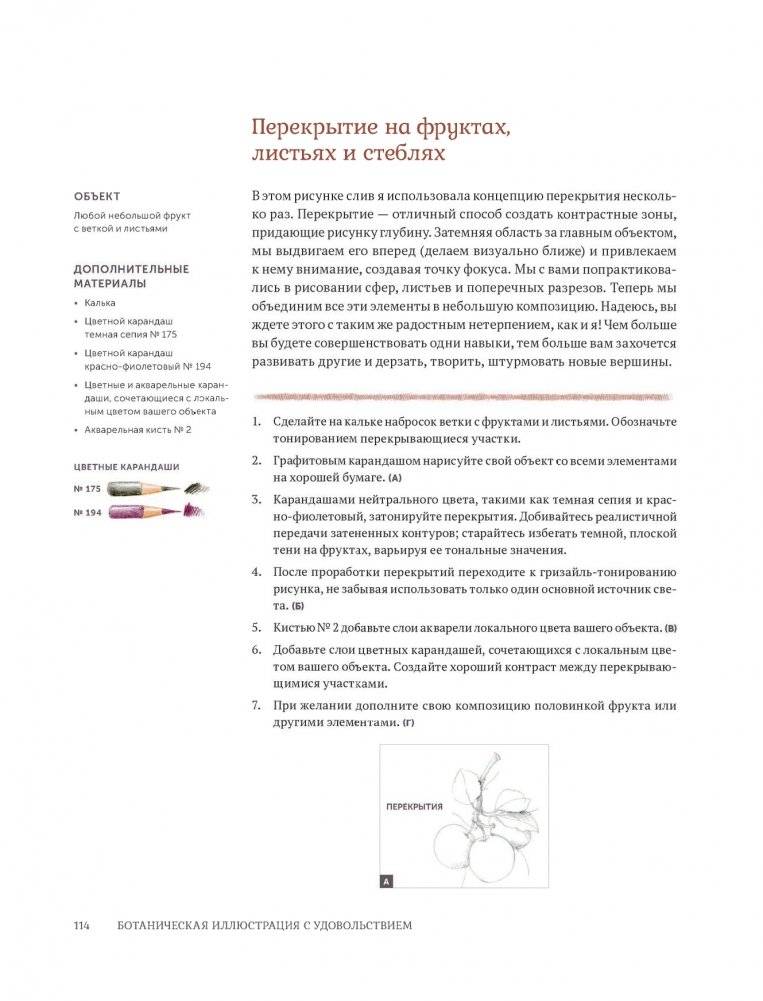 Ботаническая иллюстрация с удовольствием. Пошаговое руководство по изображению цветов, листьев, плодов и других элементов растений фото книги 16