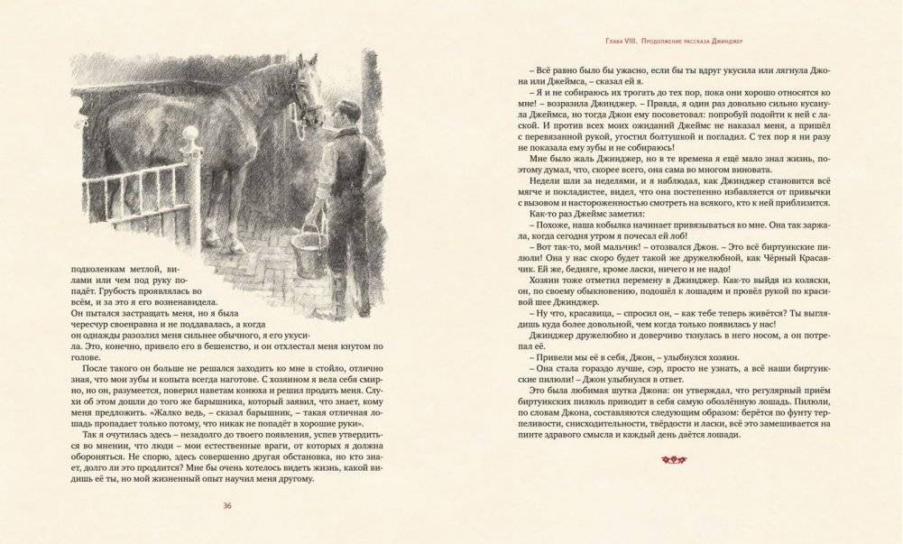 Чёрный красавчик фото книги 4