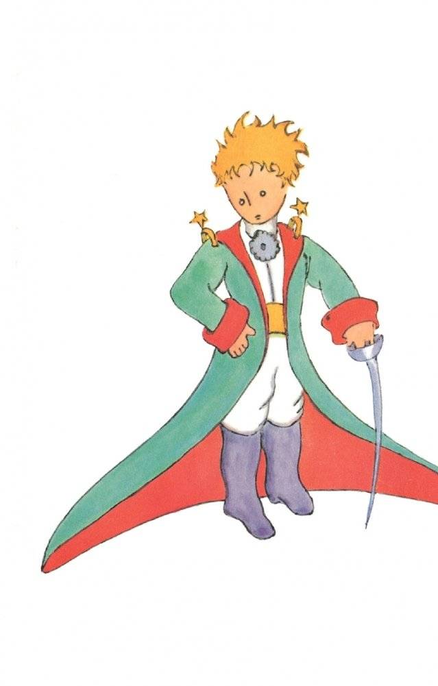 Маленькі прынц фото книги 10