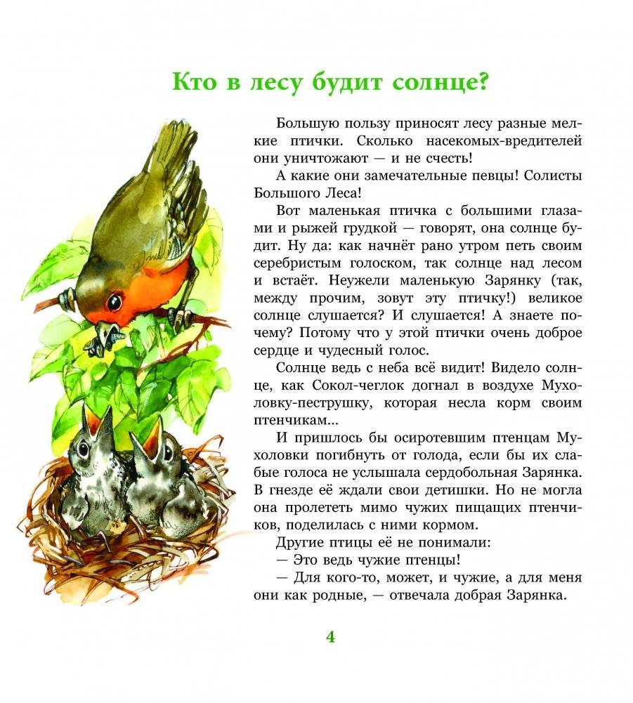 Сказки Большого Леса фото книги 2