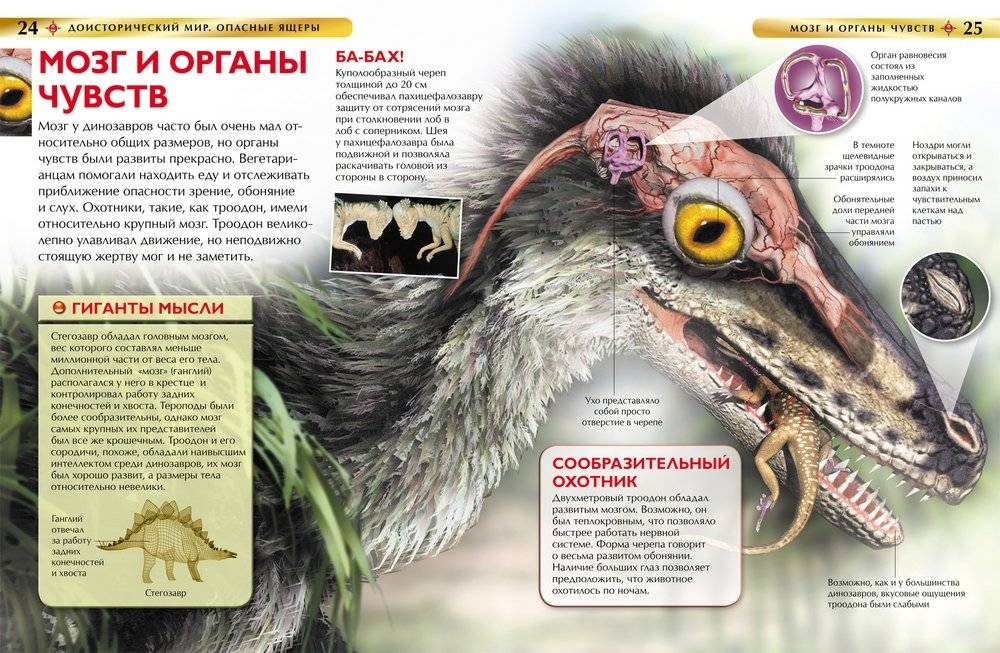 Доисторический мир. Опасные ящеры. Детская энциклопедия фото книги 3