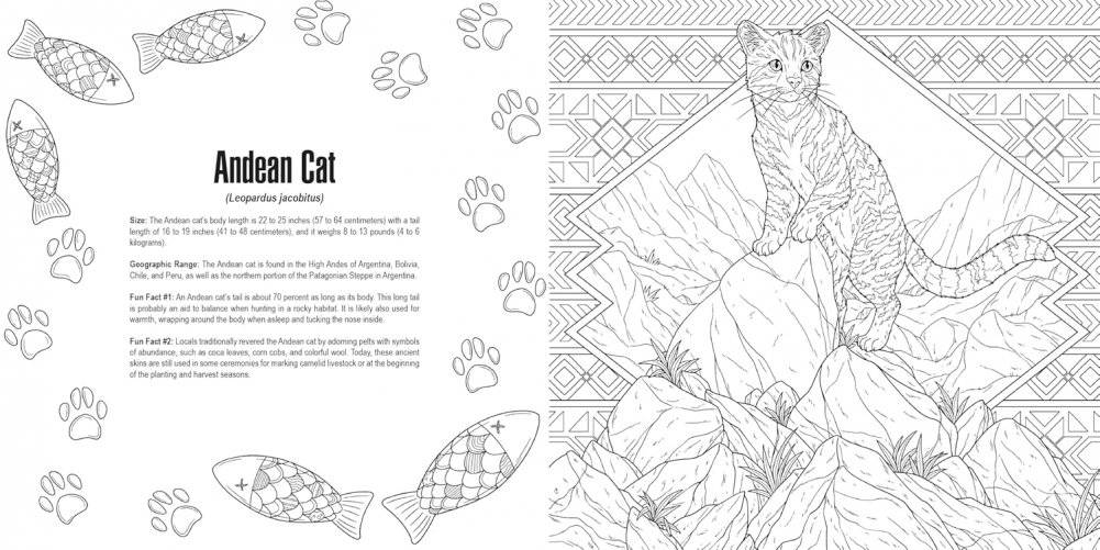 Cats: a Smithsonian Coloring Book фото книги 5