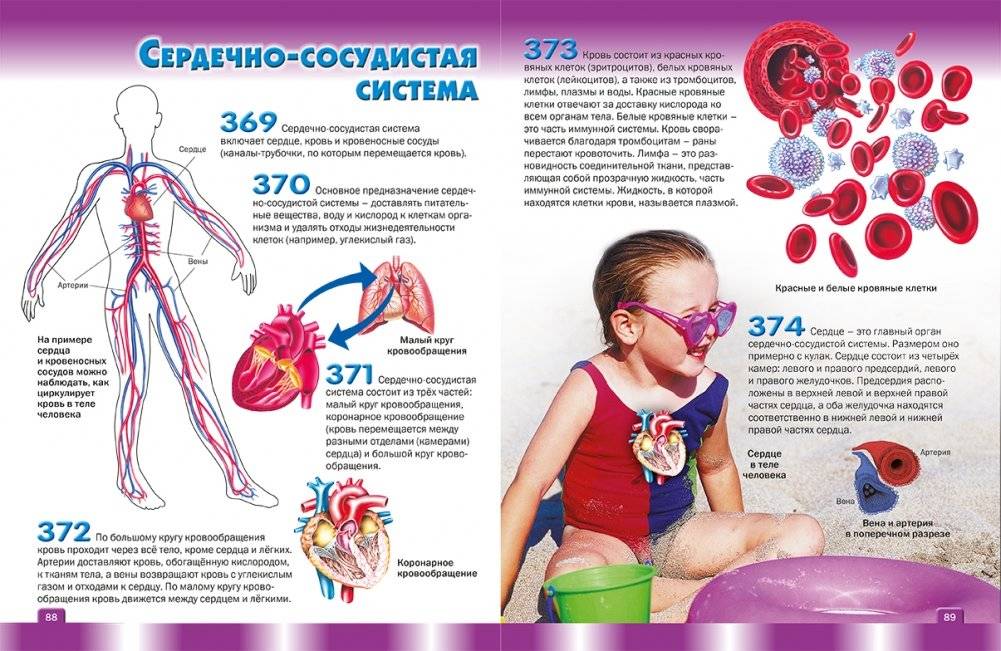 Энциклопедия для маленьких почемучек. 400 ответов на детские вопросы фото книги 2