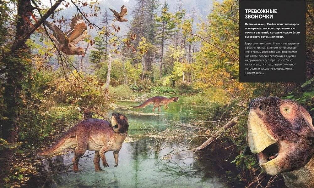 Динозавры. Самая полная современная энциклопедия фото книги 5