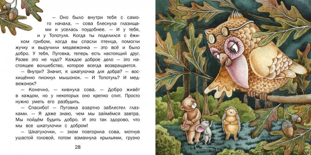 Пуговка и Топотуль. Шкатулочка для добра фото книги 4