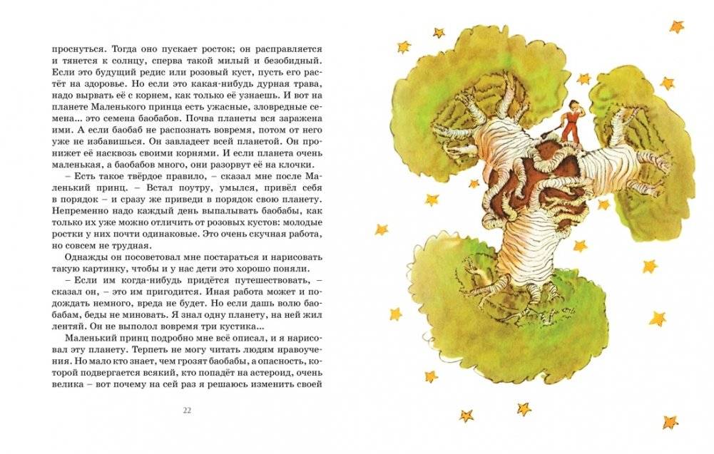 Маленький принц фото книги 4
