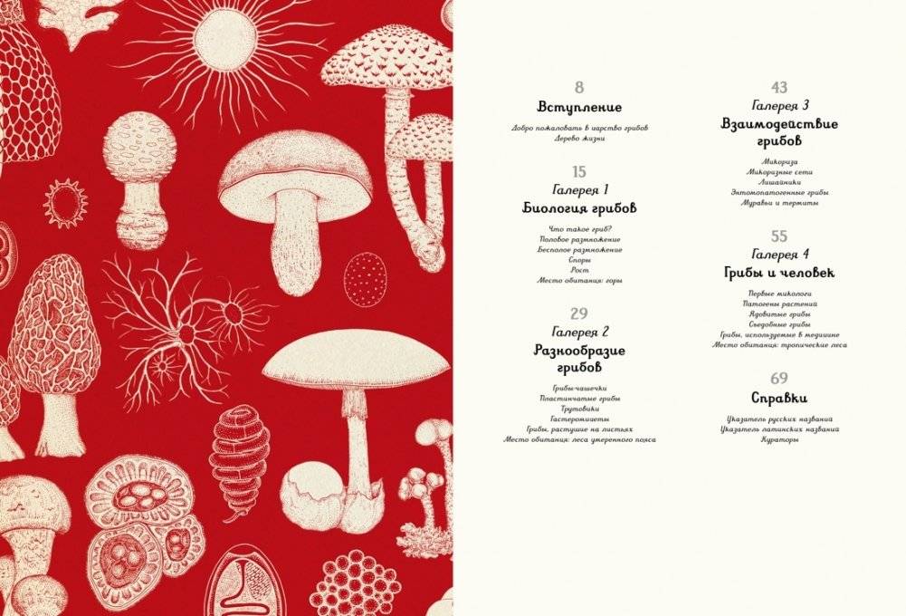 Грибариум фото книги 2