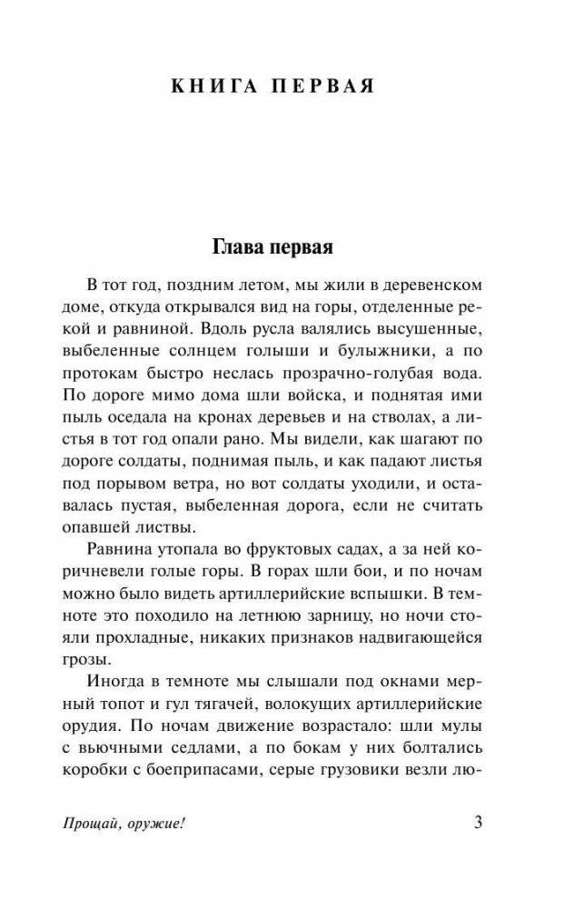 Прощай, оружие! фото книги 4