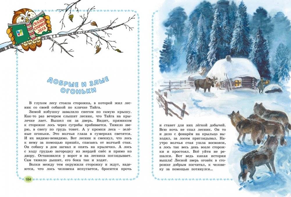 Большая лесная энциклопедия. Знакомимся с природой России фото книги 7