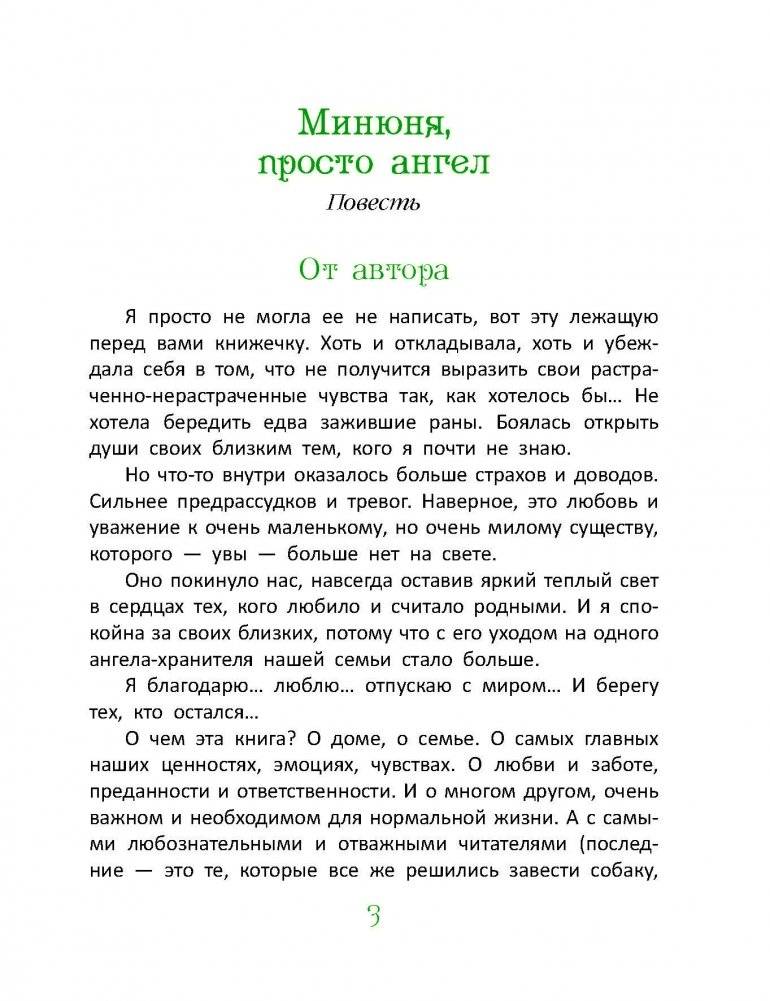 Минюня, просто ангел фото книги 3