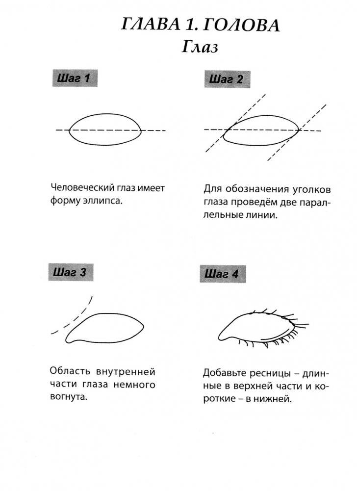 Скетчбук А5 Уроки рисования по шагам. Анатомия человека фото книги 2