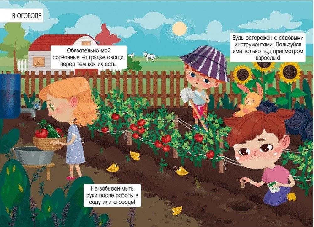 Ферма фото книги 2