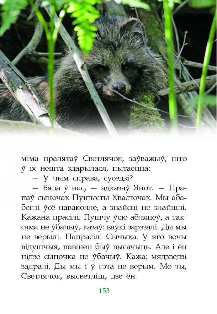 Дзе Нёман гамоніць з пушчай... фото книги 6