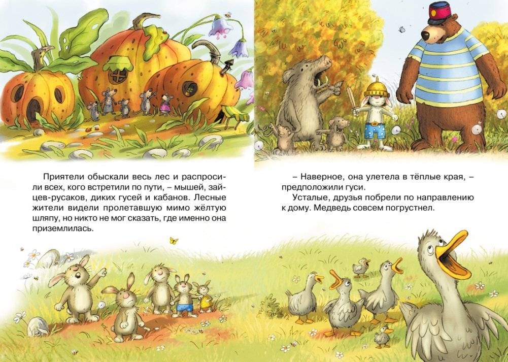 Пропавшая шляпа фото книги 4