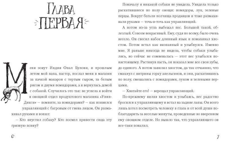 Спасибо Уинн-Дикси фото книги 2