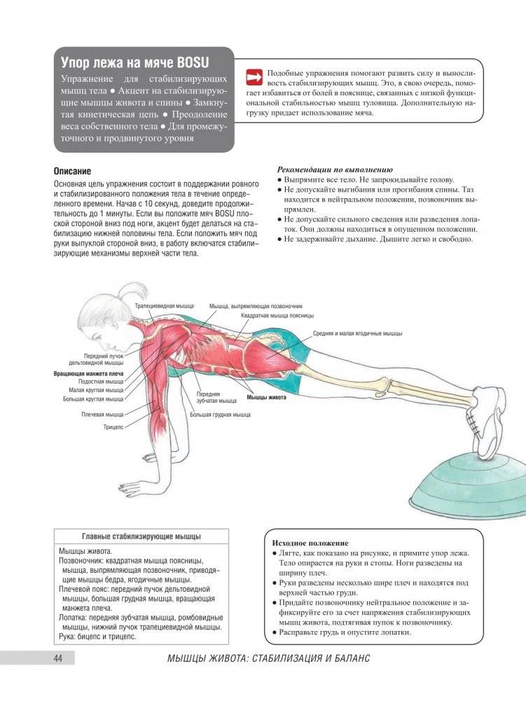 Анатомия фитнеса и силовых упражнений для женщин фото книги 7