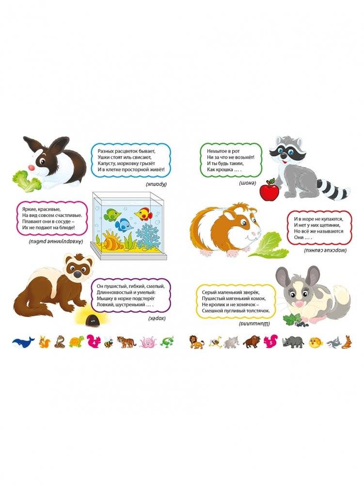 Загадки о животных для мальчиков и девочек фото книги 2