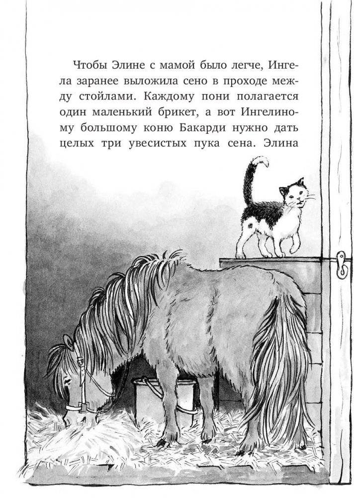 Вперёд, Сигге! фото книги 2