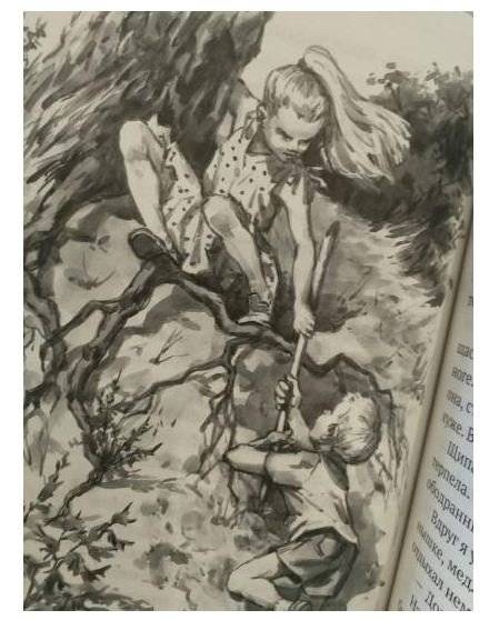 Колькино лето фото книги 3