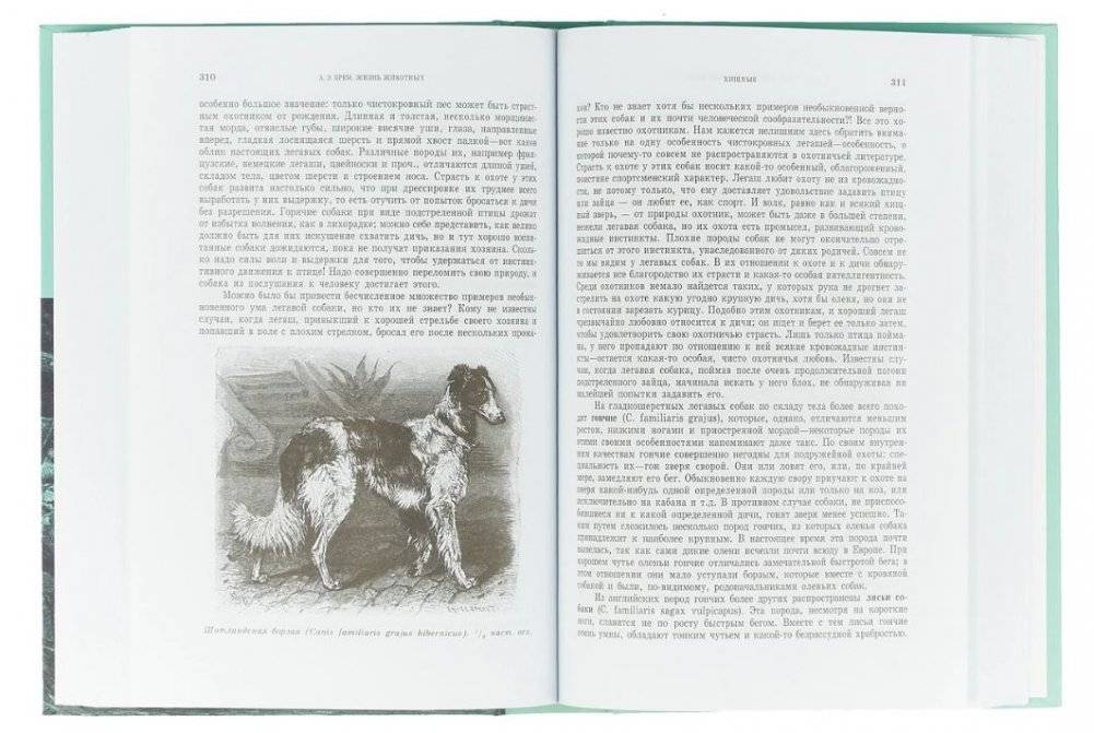 Жизнь животных (количество томов: 3) фото книги 3