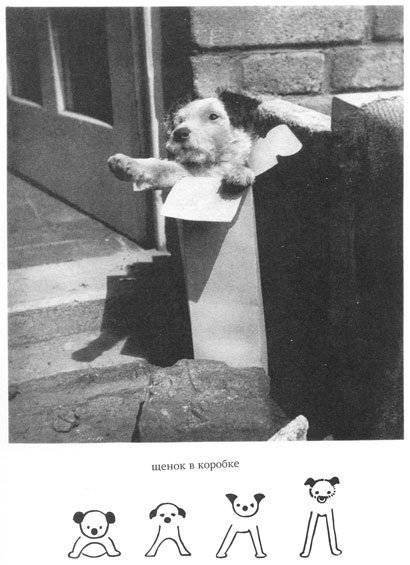 Дашенька, или история щенячьей жизни фото книги 2