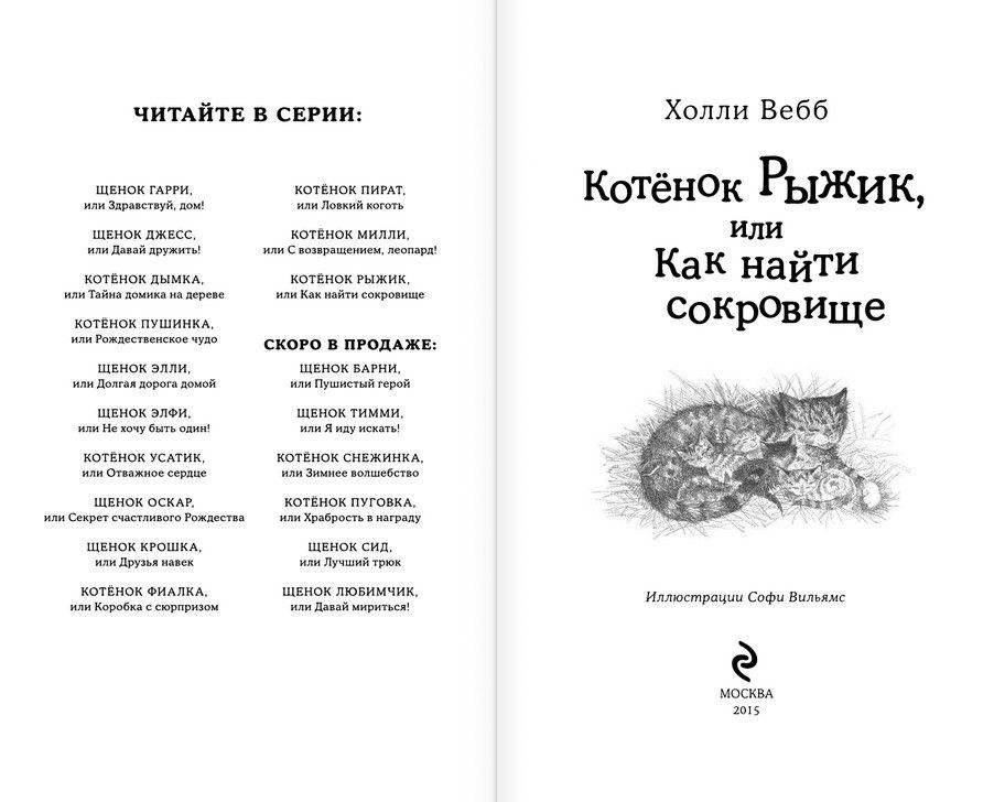 Котёнок Рыжик, или Как найти сокровище фото книги 3