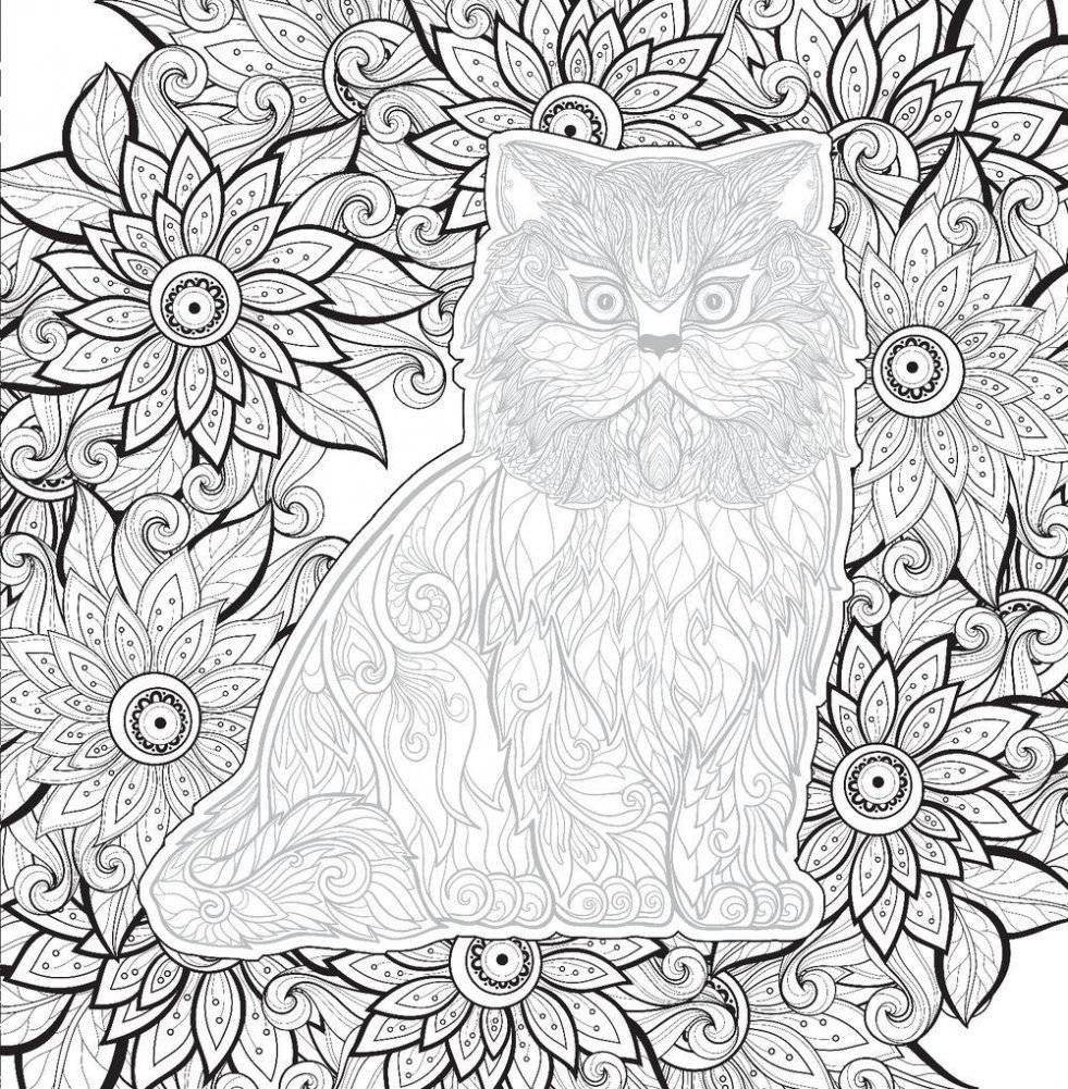 Свет и тень. Творческая раскраска с черно-белым фоном фото книги 9