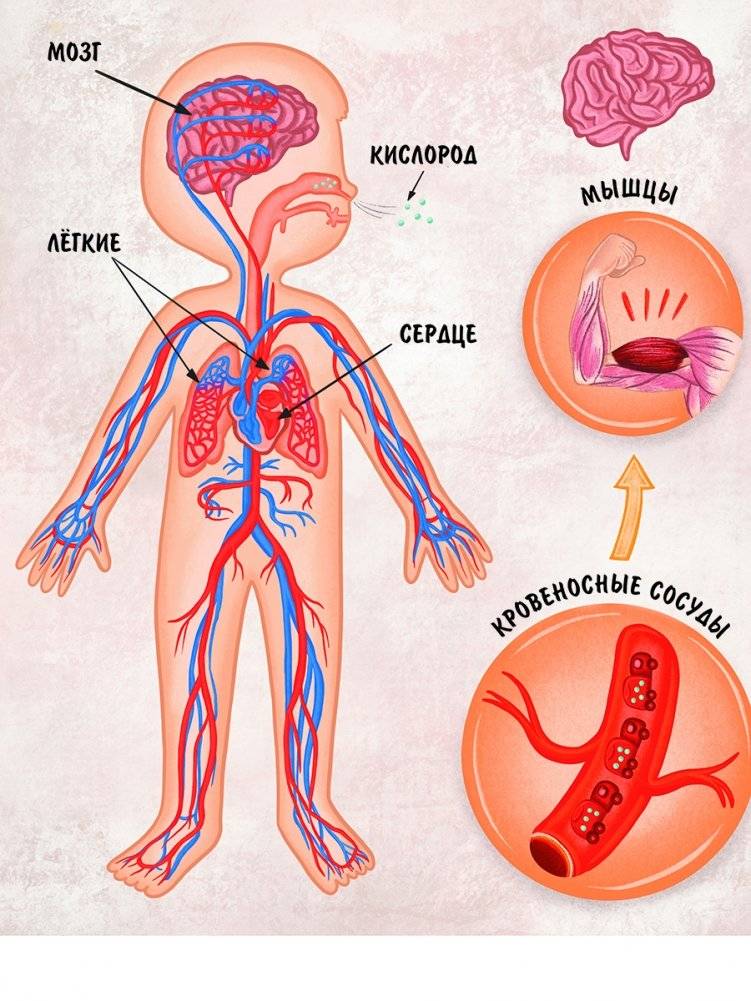 Моя сильная кровь фото книги 4