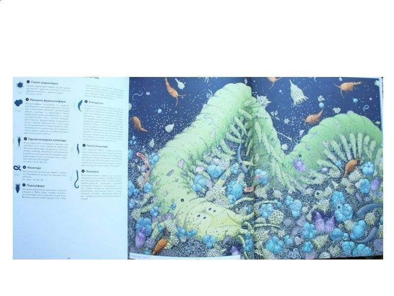 Живой мир под микроскопом фото книги 5