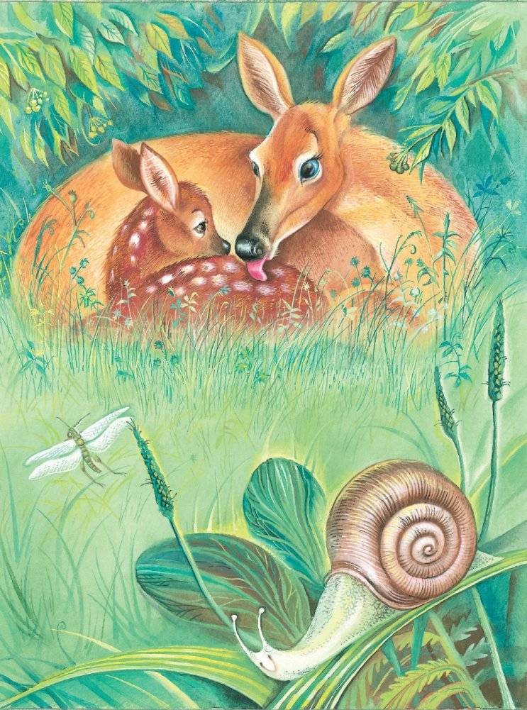 Бемби (ил. М. Митрофанова) фото книги 7