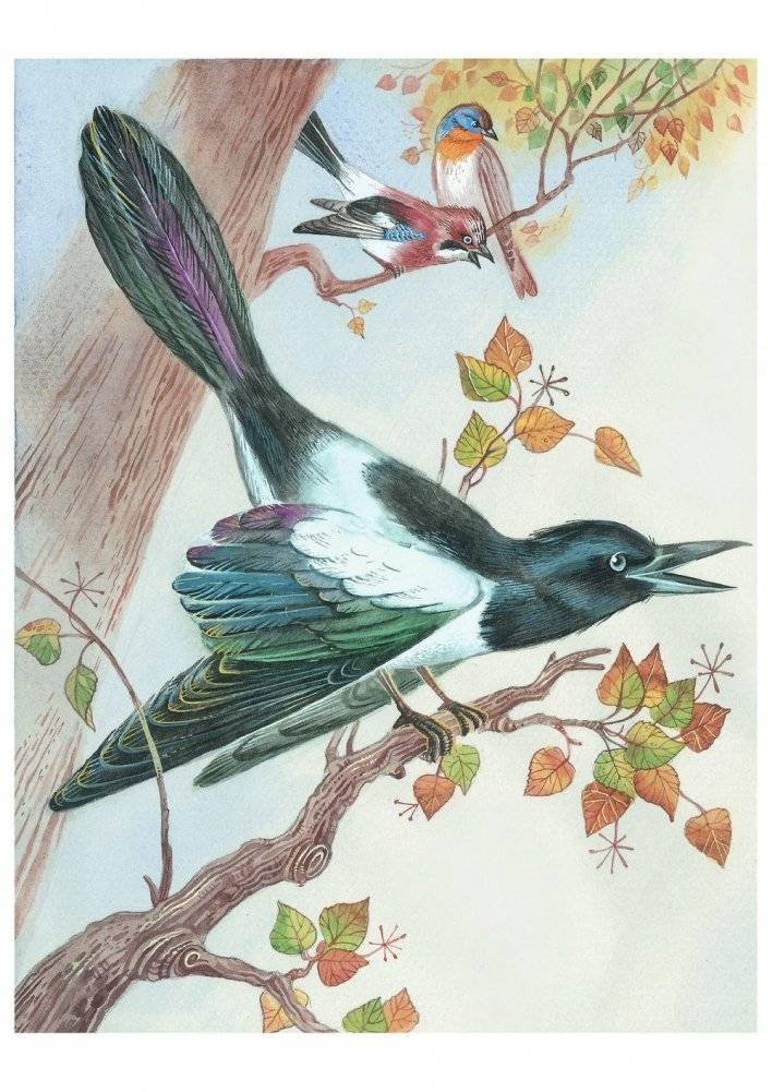 Бемби фото книги 5