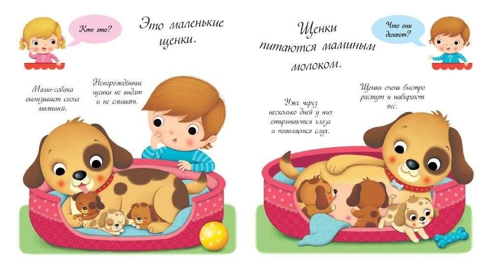 Собаки и щенки фото книги 3