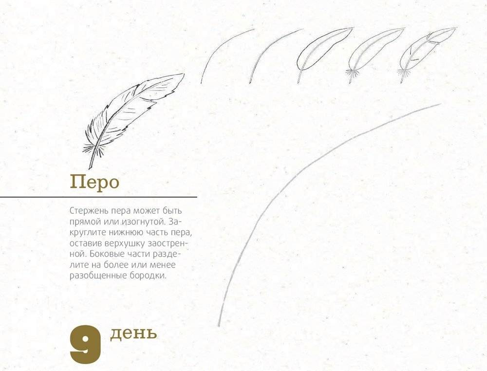 365 дней рисования. Пошаговые техники для начинающих художников фото книги 7