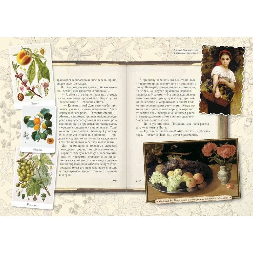 Среди цветов. Рассказы старого садовника фото книги 8