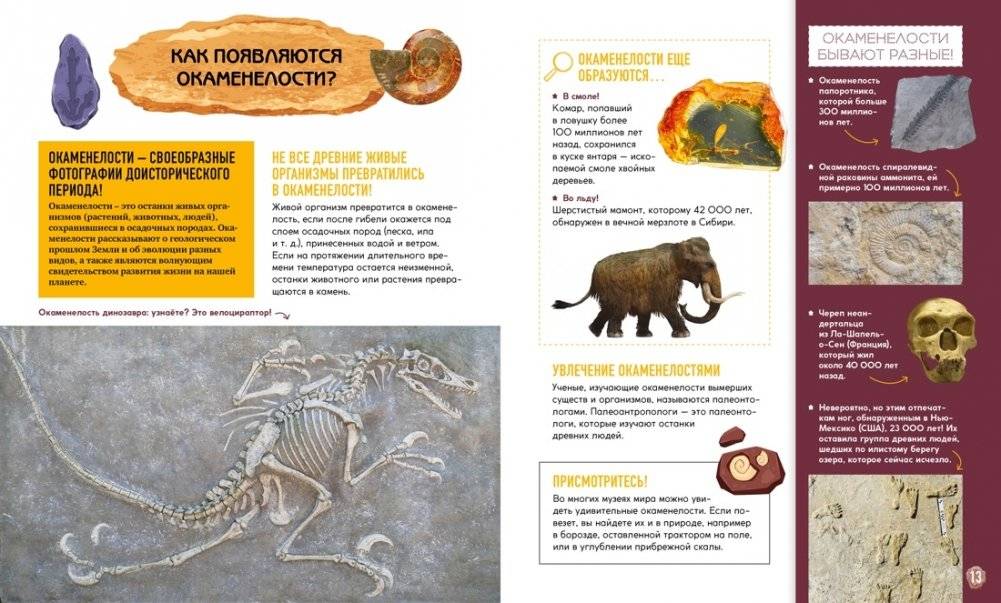 Первобытное искусство. Сокровища древних пещер фото книги 4