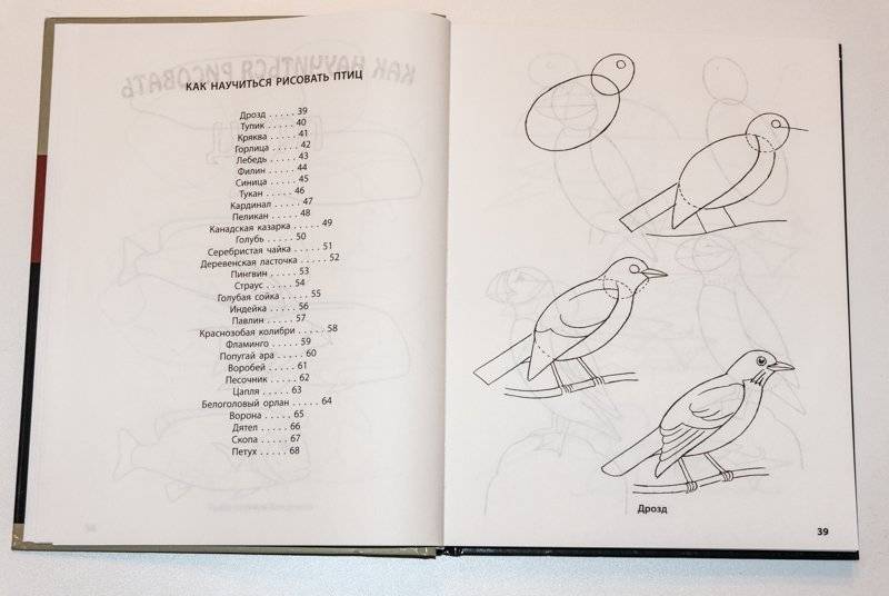 Рисование. Первые шаги фото книги 6