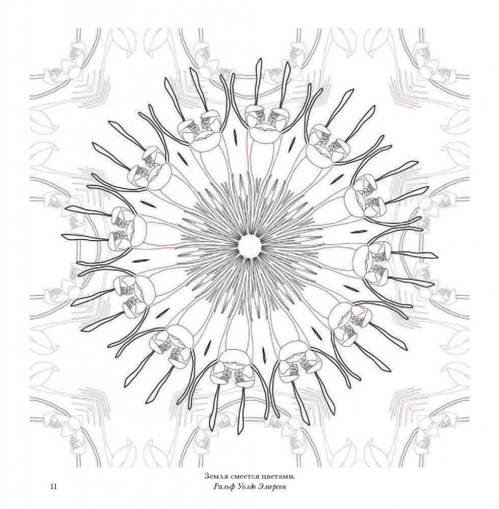 Флоросфера. Вдохновение фото книги 14