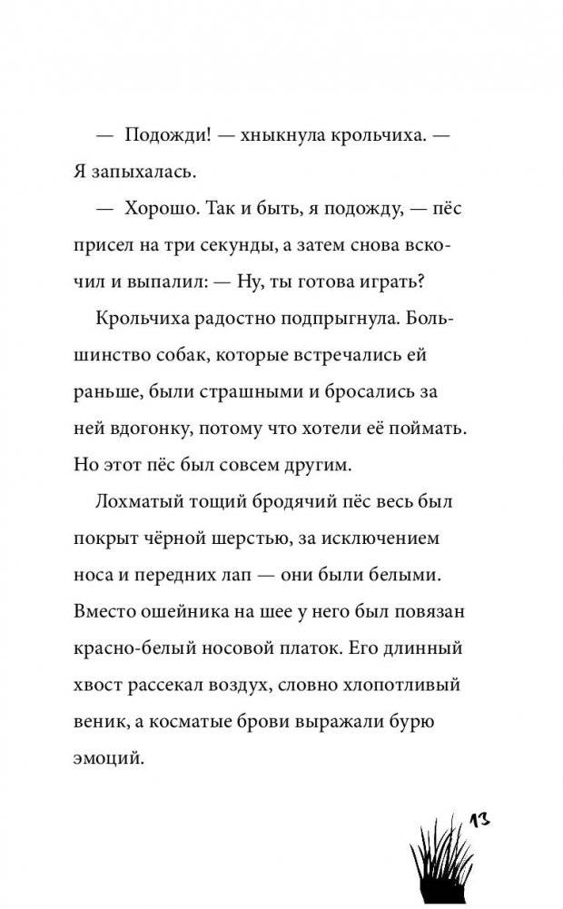 Кроличий клад фото книги 13