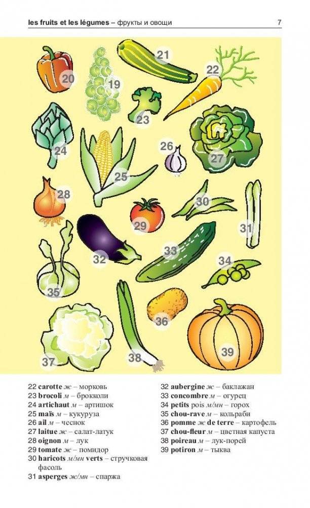Французский язык в картинках. 500 самых употребительных слов на каждый день. Разговорник фото книги 3