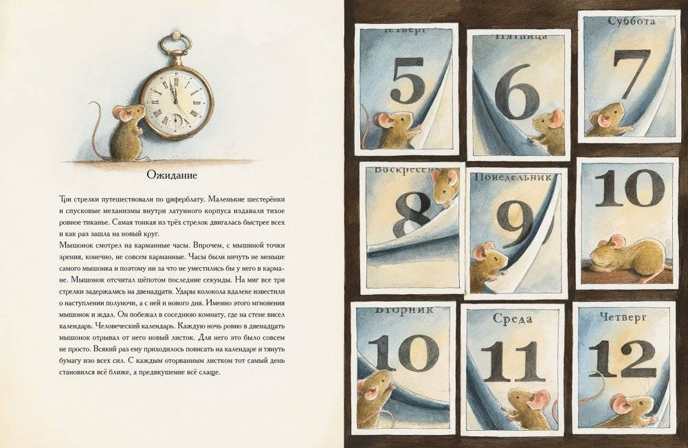 Эйнштейн. Фантастическое путешествие мышонка через пространство и время фото книги 2