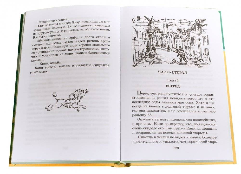 Без семьи фото книги 4