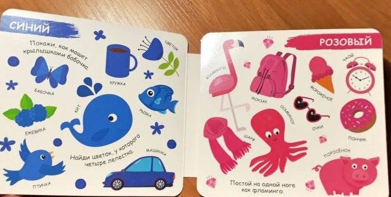 Книжка-гармошка. Цвета фото книги 5