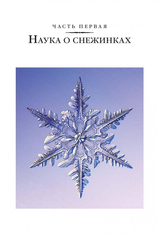 Снежинки. Тайная красота зимней природы. Занимательное снежинковедение фото книги 8