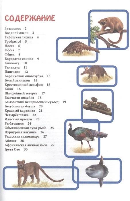 Энциклопедия. В мире знаний. Необычные животные фото книги 2