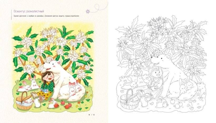 Зимним днём в Корее. Раскраски-антистресс, которые подарят тёплые чувства фото книги 4