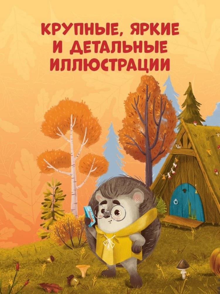 Ёжик и золотая осень фото книги 3
