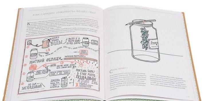 Загадка жизни и грязные носки Йоса Гротьеса из Дрила фото книги 9