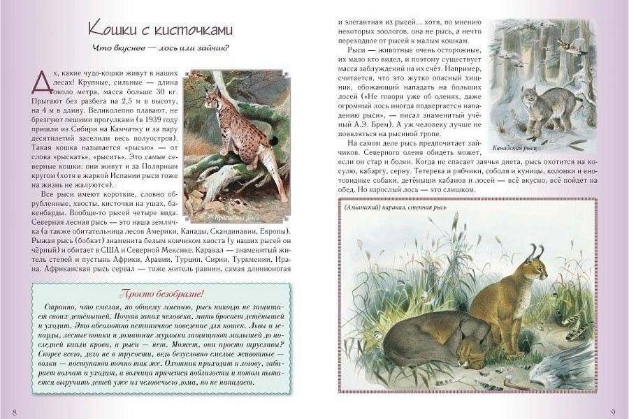 Кошки и собаки. Знакомые и неизвестные фото книги 9