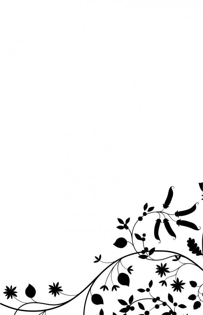 Пепел и пламя фото книги 2